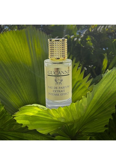 Lexroo Terre'd Hermes 75ml Edp Erkek Parfüm Ultra Kalıcı Biz Daha Iyisini Yapana Kadar En Iyisi Bu Diğer