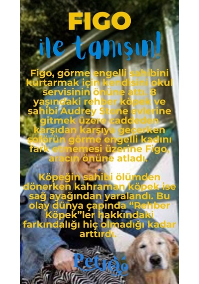 Petjoo 27.Figo Mavi-Sarı Qr'lı Köpek Künyesi