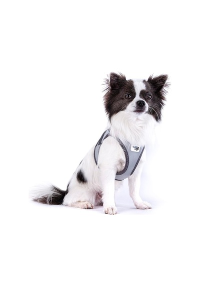 Glow Curli Clasp Vest Harness Reflective Gray S Genel