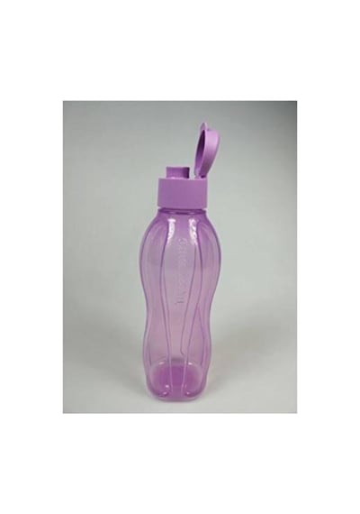 Eko Şişe 750 Ml Lila Mor