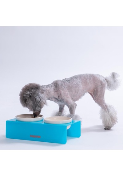 Turkuaz İkili Seramik-pleksi Mama Ve Su Kabı-kedi Köpek Mama Su Kabı