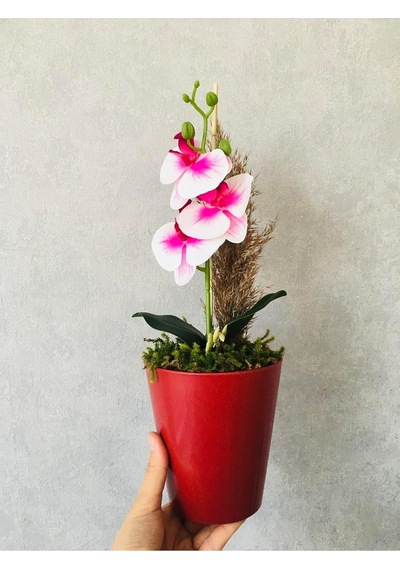 Tr Orkide Yapay Çiçek, 38 Cm, Pembe-beyaz, Saksıda Diğer