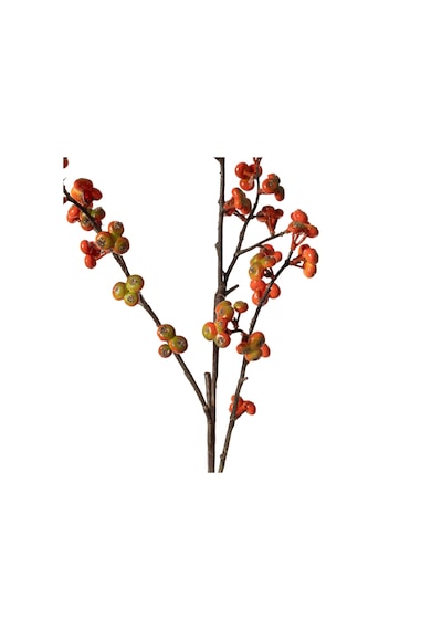 Mudo Home Orange Berry Dal Çiçek 88 Cm 1484476