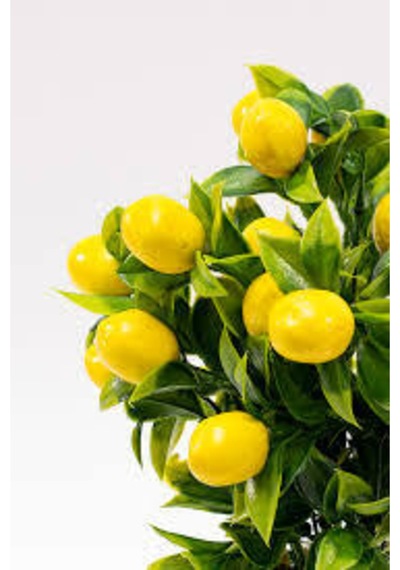 Rüzgar Çiçekcilik Yapay Limon Demeti Sarı