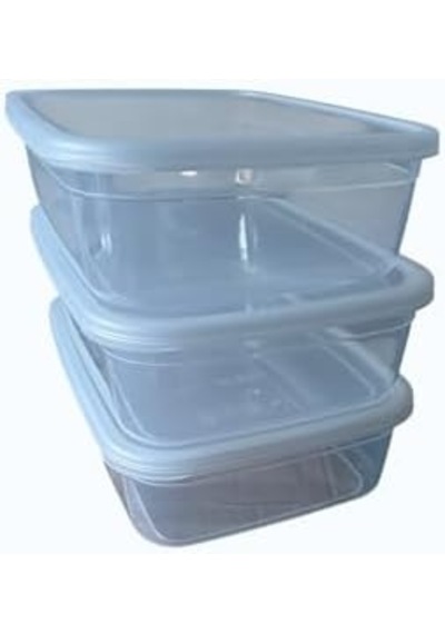 Kapaklı Saklama Kabı 3&apos Lü Set, 3000 Ml Her Biri, Şeffaf, Bpa İçermez, Hava Geçirmez, İstiflenebilir