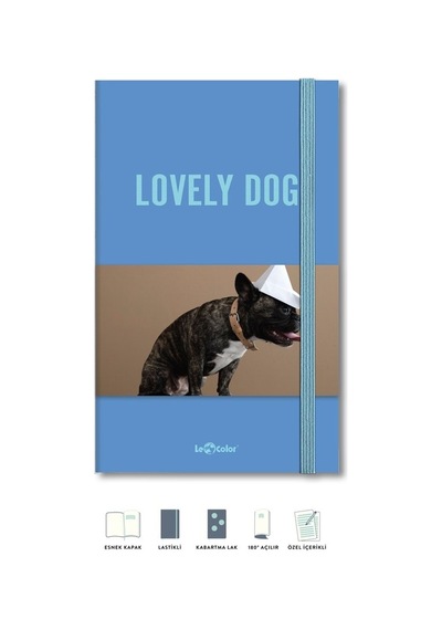 Köpek Dünyası Journal Düz