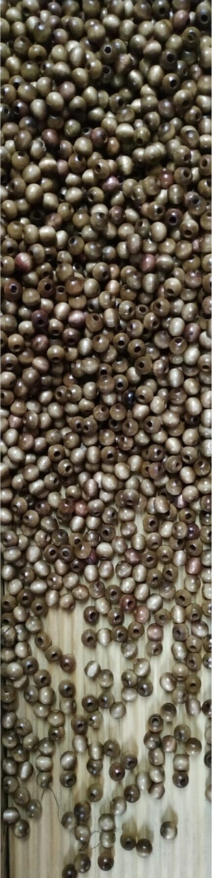 Ahşap Boncuk 6 Mm 80 Gr Ort. 550 Adet Sütlü Kahve