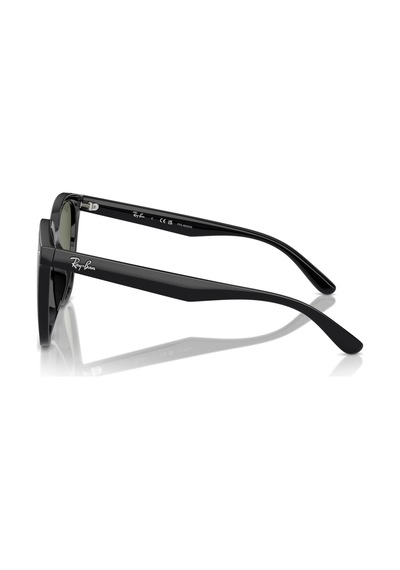 Ray-Ban 4423d 601/9a 66 Erkek Güneş Gözlüğü
