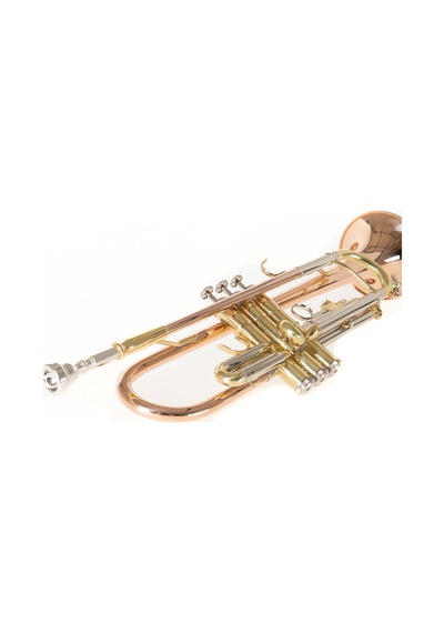 Roy Benson Tr-202g Bb Trompet Gold Brass Altın Pirinç Kalak S