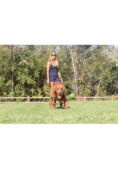 Erratic Ball Kauçuk Köpek Oyun Topu 2'li Paket - Küçük Boy , Doğal Kauçuk, Her Yöne Yuvarlanan, Dayanıklı, Kolay Temizlenen Köpek Topu