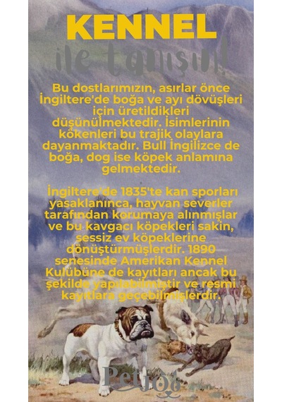 Petjoo 16.Kennel Gri-Sarı Qr'lı Köpek Künyesi