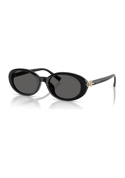 Tf 4242d 8361s4 54 Tiffany & Co. Güneş Gözlüğü Siyah