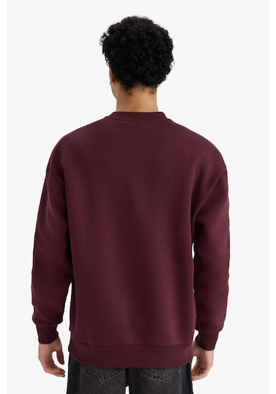 Defacto Boxy Fit Bisiklet Yaka İçi Yumuşak Tüylü Baskılı Sweatshirt X8282az25aubr230 Bordo-br230 Defacto Boxy Fit Bisiklet Yaka İçi Yumuşak Tüylü Baskılı Sweatshirt X8282az25aubr230 Bordo-br230