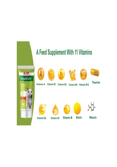 Vitalicat Kediler İçin Vitamin, Macun Paste , 100 Ml