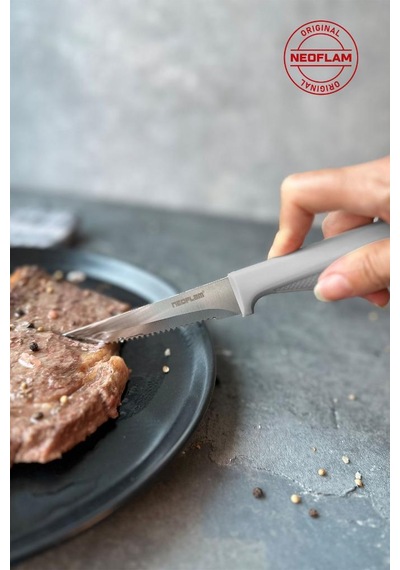 Neoflam Fika Microban Steak Bıçağı, Gri