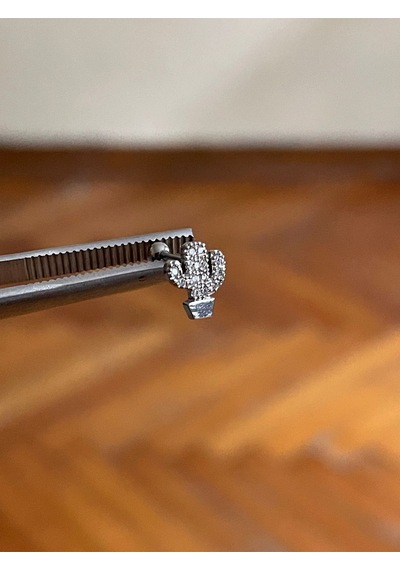316 L Cerrahi Çelik Dudak Piercing Kıkırdak Helix Tragus Conch Zirkon Taşlı Figürlü Piercing Kahverengi