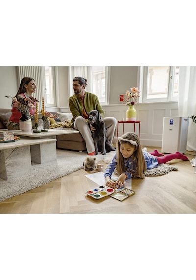 Karcher Af 50 Signature Line Hava Temizleme Makinesi