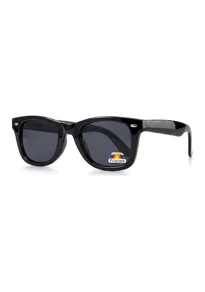 Wayfarer Yaylı Menteşe Polarize Cam Unisex Güneş Gözlüğü Çok Renkli