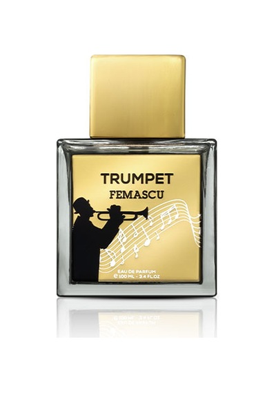 Femascu 6519 Erkek Parfüm EDP 100 ML