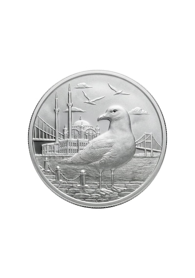 Agakulche İstanbul Martısı Gümüş Sikke Coin