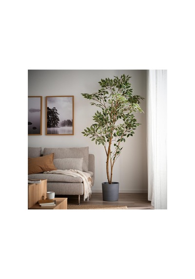 Ikea Fejka Yapay Bitki 23 Cm Yeşil 106.106.04