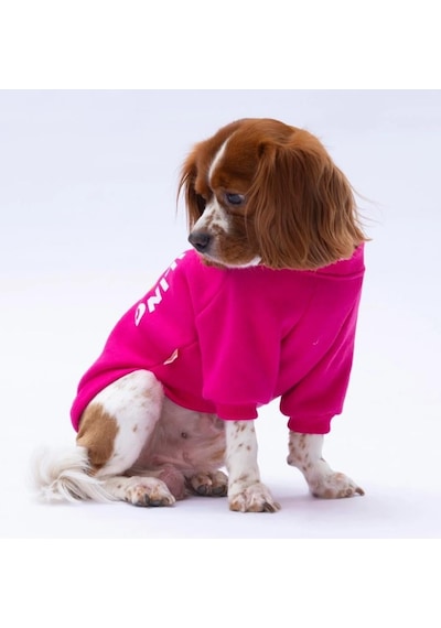 Pawstar Pembe Lahti Polarlı Küçük Irk Köpek Sweatshirtü