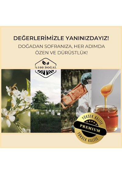 Turan Bal ve Yöresel Erken Hasat Soğuk Sıkım Zeytinyağı 250 ML
