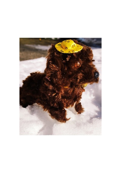Kahverengi Yürüyen Havlayan Sevimli Pilli Peluş Köpek Kahverengi