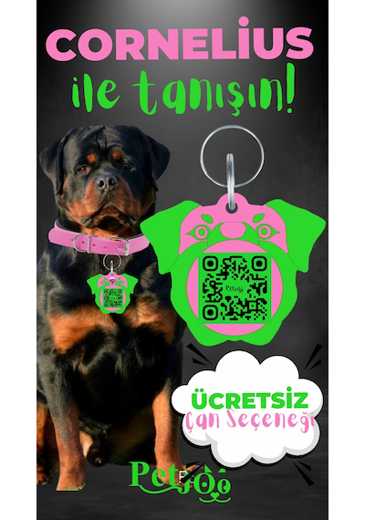 Petjoo 20.Cornelius Yeşil-Pembe Qr'lı Köpek Künyesi