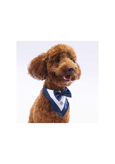 Pawstar Lacivert Smokin Kedi Köpek Fuları Pet Bandanası