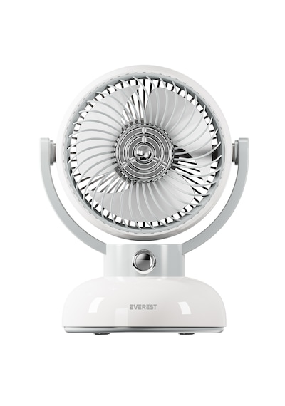 Everest 1200mah 3 Hız Kademe Led Işıklı Retro Masaüstü Usb Fan