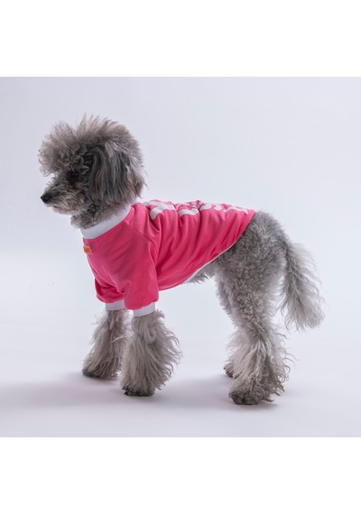 Pink-pembe Yourself Love Sweat Kedi Köpek Sweati - Kedi Köpek Kıyafeti