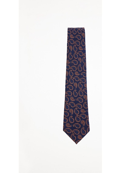 Tudors Erkek Lacivert Paisley Desenli Klasik Kravat Ve Cep Mendili Takımı-51514