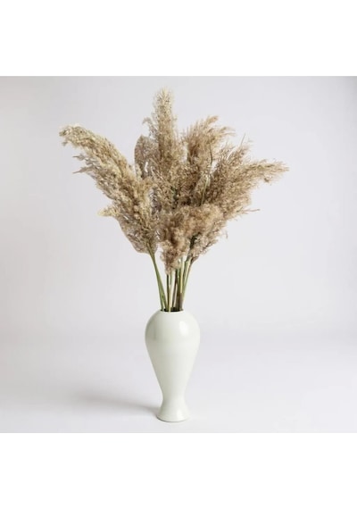 Gerçek Kuru Çiçek 7'li Büyük Boy Pampas 100 Cm Natürel