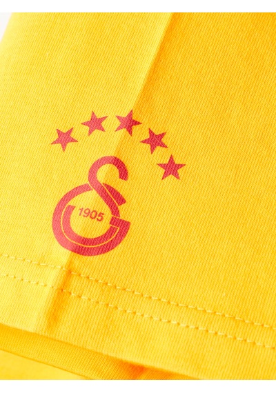 Gsstore Galatasaray Erkek T-shirt E252097 Sarı