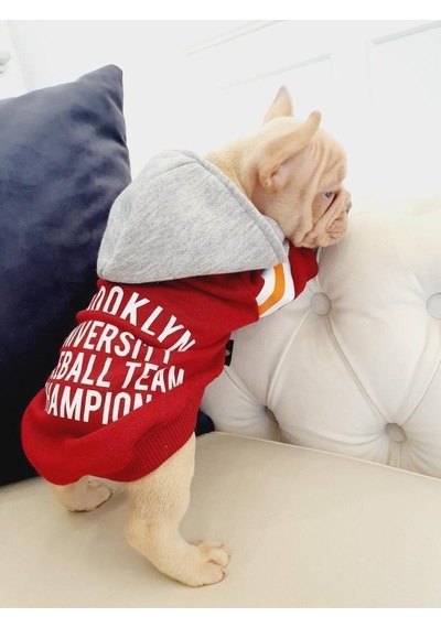 Salya Store Baseball Hoodie Köpek Kıyafeti Köpek Kapüşonlu Bsb101