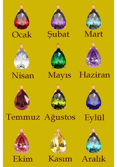 Papatya Silver 925 Ayar Gümüş Gold Kaplama Ortası Zirkon Doğum Taşlı , 0,08 Karat Pırlanta Çerçeveli Damla Kolye