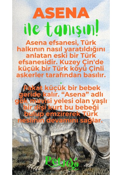 Petjoo 25.Asena Yeşil-Turuncu Qr'lı Köpek Künyesi