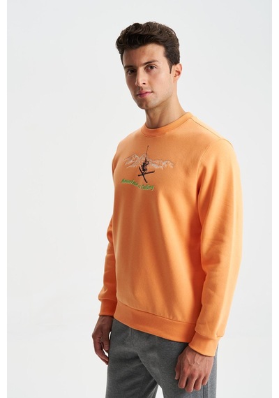 AR-MA Arma Erkek Regular Fit 3 İplik Şardonlu Pamuklu Bisiklet Yaka Sweatshirt 001