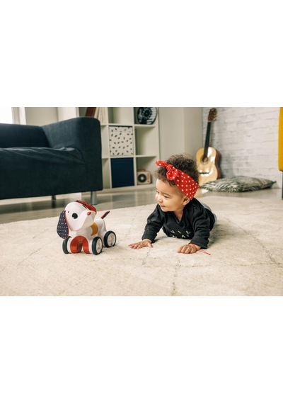 Tiny Love 0-3 Yaş Emekleme Arkadaşım Sevimli Köpek Charlie Tiny Rockers Koleksiyonu