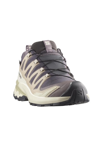 Salomon Xa Pro 3d V9 Gore-tex Kadın Ayakkabı Gri