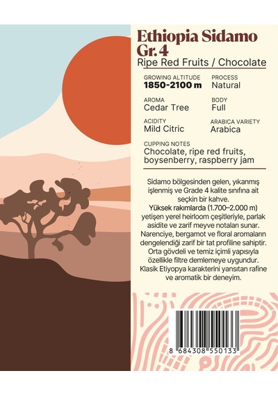 Ethiopia Sidamo Gr.4 Yöresel Filtre Kahve 250 Gr. Çekirdek Kahve