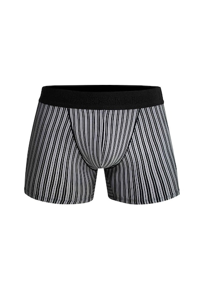 Doreanse Erkek Modal Çizgi Desenli Normal Paça Boxer 1866 (543079404)