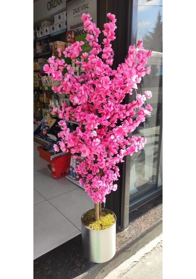Rüzgar Yapay Çiçekcilik 160 Cm Pembe Bahardali Pembe