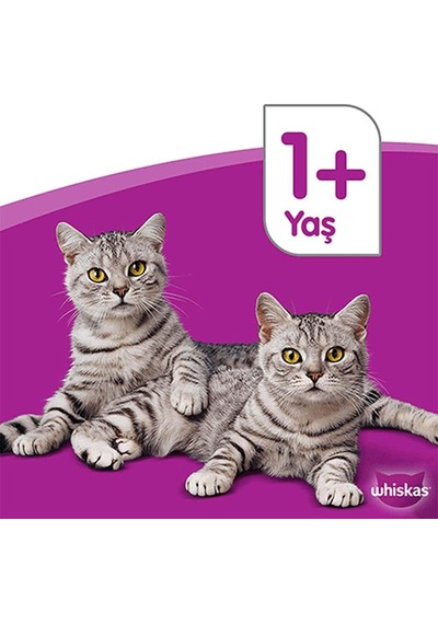 Sığır Etli/havuçlu Kedi Maması 300 G