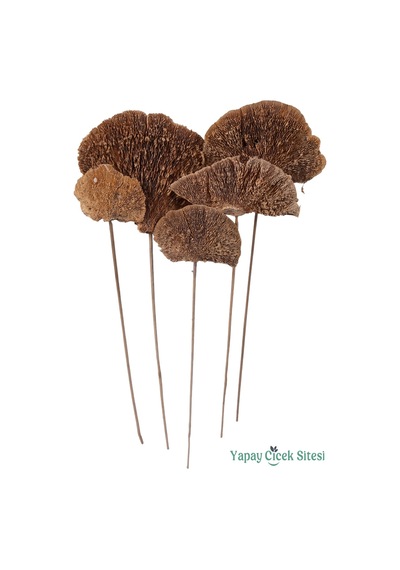 Yapay Çiçek Sitesi Kuru Çiçek Doğal Mushroom Mantar 50 Cm 5li Naturel