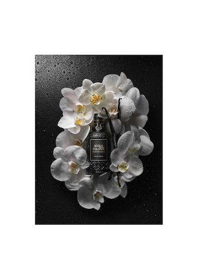 4711 Absolue Collection Orchi Vanilla Edp 100 Ml Unisex Parfüm Çiçeksi
