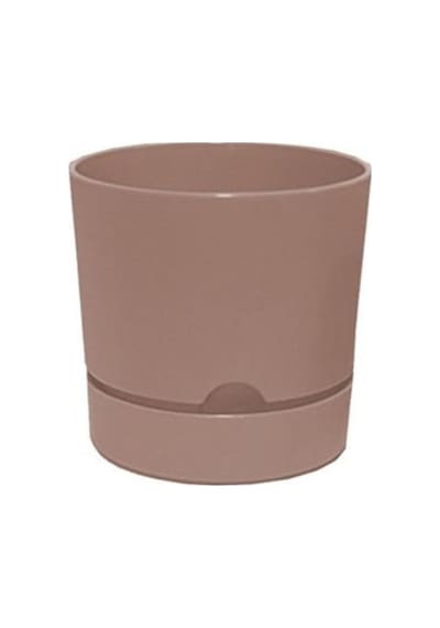 Polıwork Saksı Begonya 18 Cm Krem