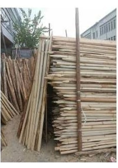 10 Adet 2 Metre Ahşap Direk Ahşap Direk Fidan Destek Kazıkları