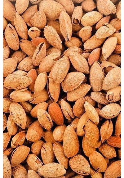 Kabuklu Badem 1 Kg Diğer